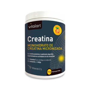 VITALART CREATINA